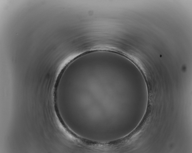 X0000090760995200707271502