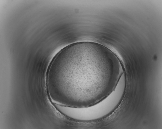 X0000090760996200707271502