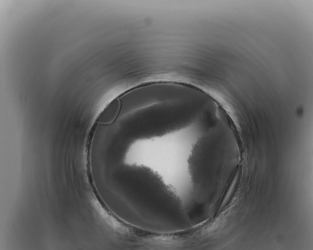 X0000090760998200707271502