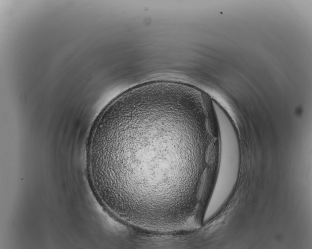 X0000090760999200707271502