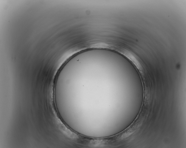 X0000090761000200707271502