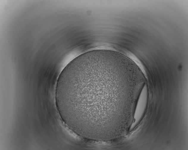 X0000090761002200707271502