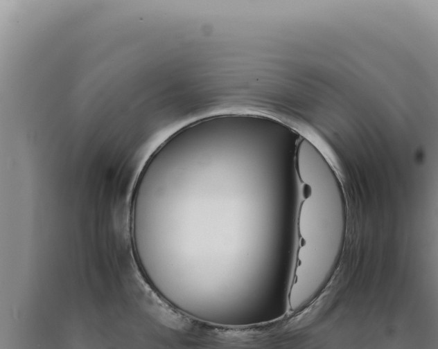 X0000090761004200707271502