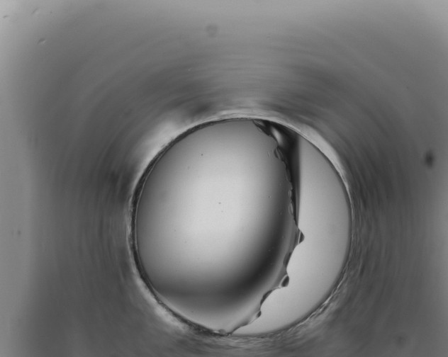 X0000090761005200707271502