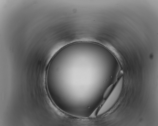 X0000090761006200707271502