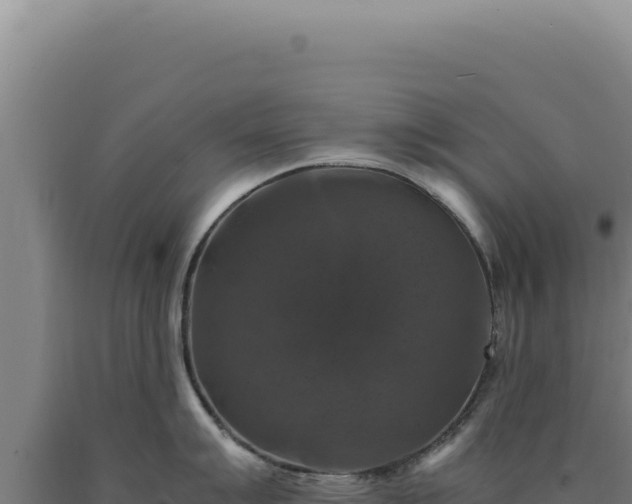 X0000090761007200707271502