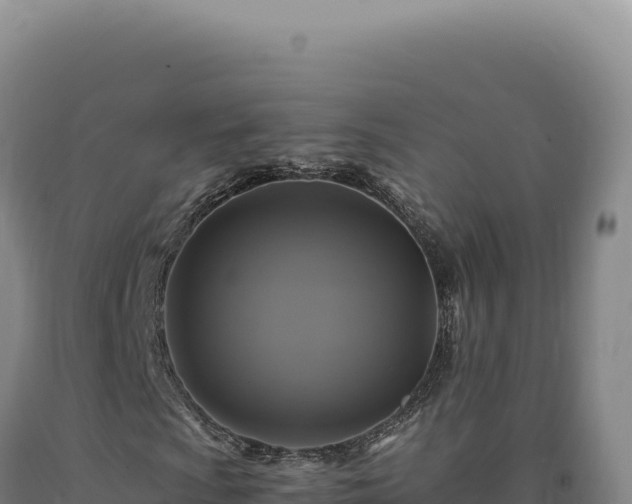 X0000090761009200707271501