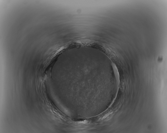 X0000090761010200707271501