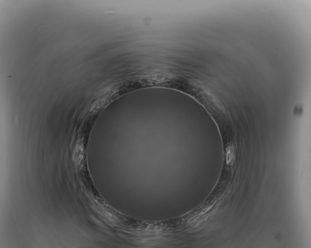 X0000090761011200707271501