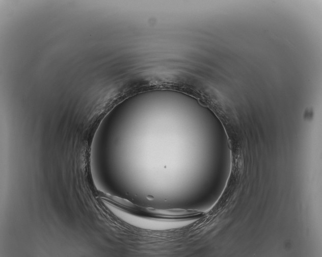 X0000090761012200707271501