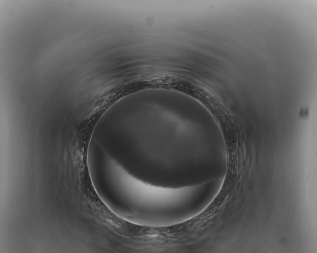 X0000090761013200707271501