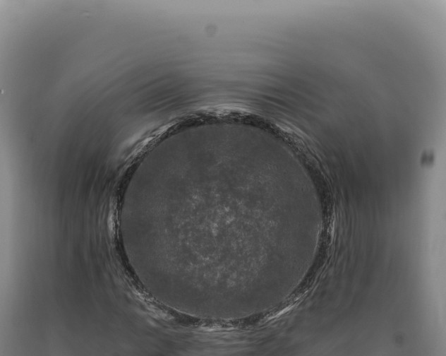 X0000090761014200707271501