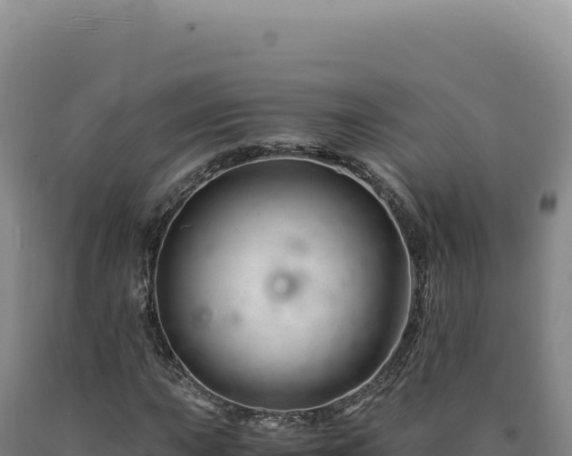 X0000090761015200707271501