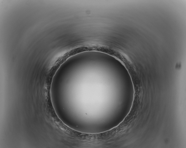 X0000090761016200707271501