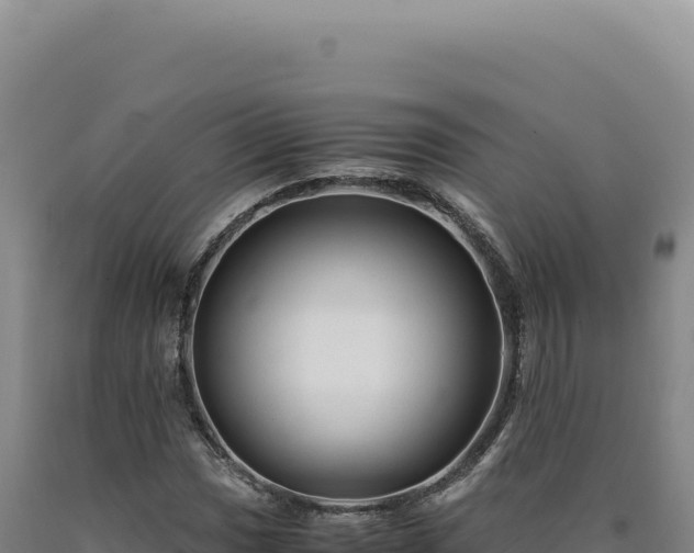 X0000090761017200707271501