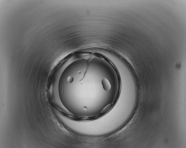 X0000090761018200707271501