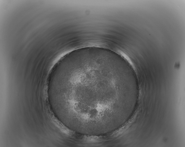 X0000090761019200707271501