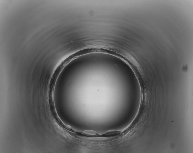 X0000090761020200707271501