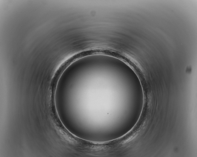 X0000090761021200707271501