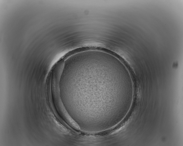 X0000090761022200707271501