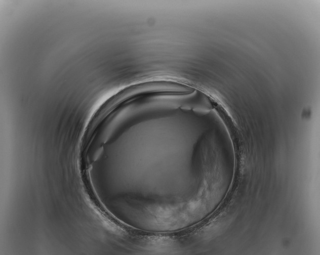 X0000090761024200707271501