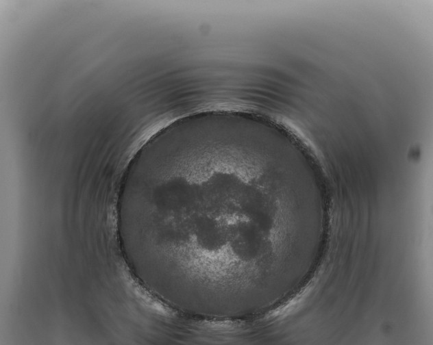 X0000090761025200707271501