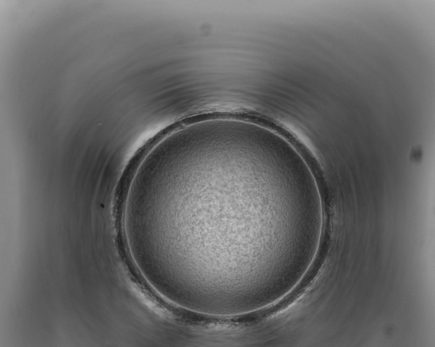 X0000090761026200707271501