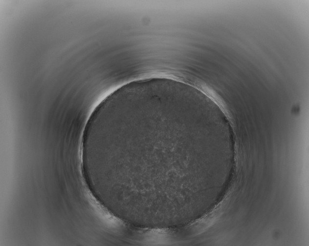 X0000090761028200707271501