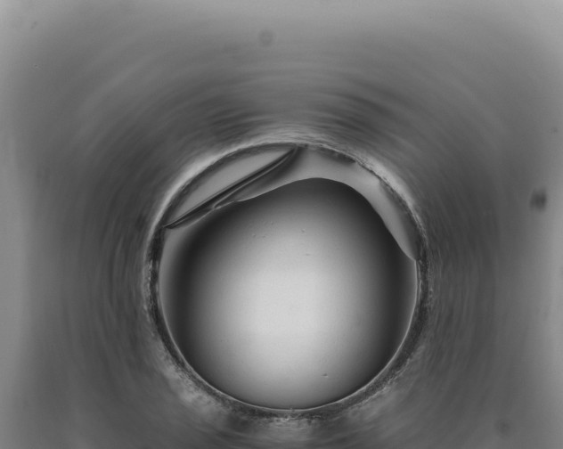 X0000090761029200707271501