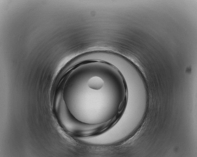 X0000090761030200707271501