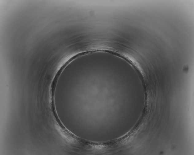 X0000090761031200707271501