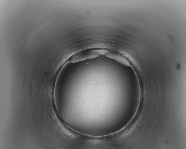 X0000090761033200707271501