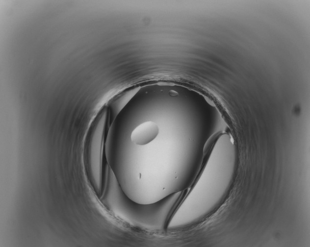 X0000090761034200707271501