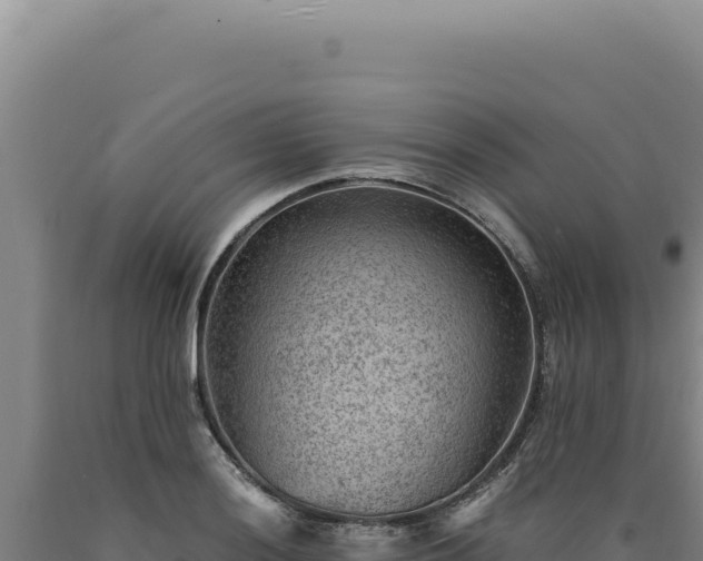 X0000090761036200707271501