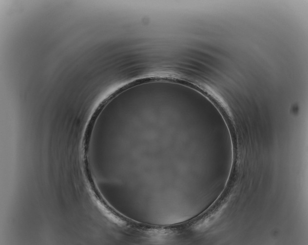 X0000090761037200707271501