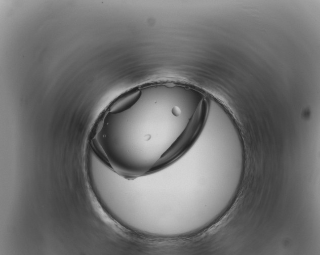 X0000090761038200707271502