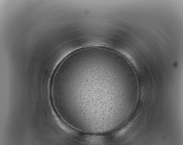 X0000090761039200707271502