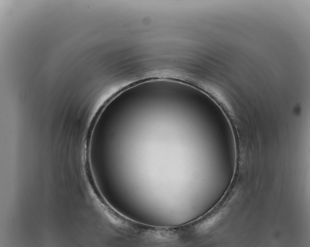 X0000090761040200707271502