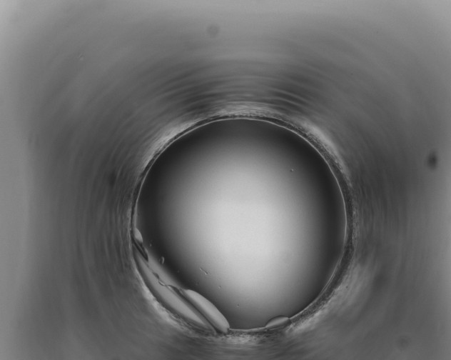 X0000090761041200707271502