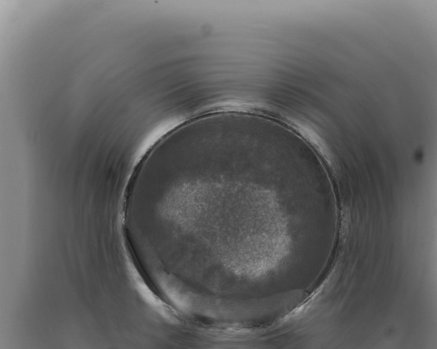 X0000090761042200707271502