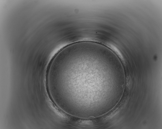 X0000090761043200707271502