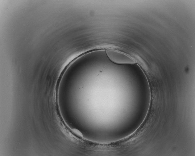 X0000090761044200707271502