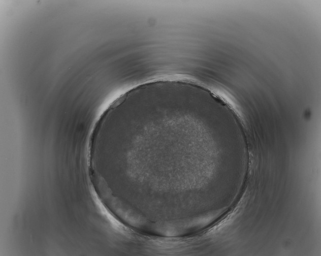 X0000090761046200707271502