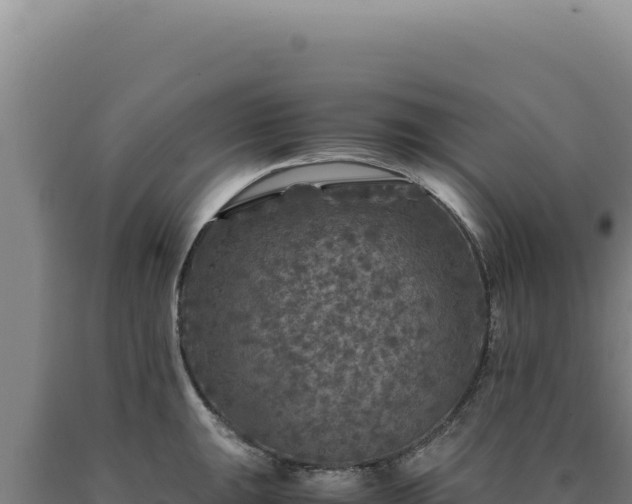 X0000090761047200707271502