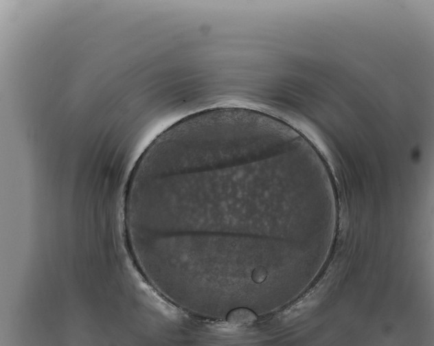 X0000090761048200707271502