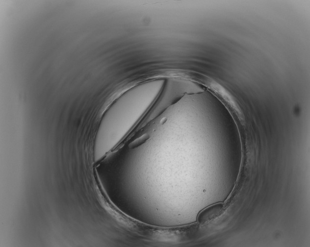 X0000090761049200707271502