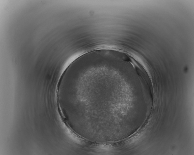 X0000090761050200707271502