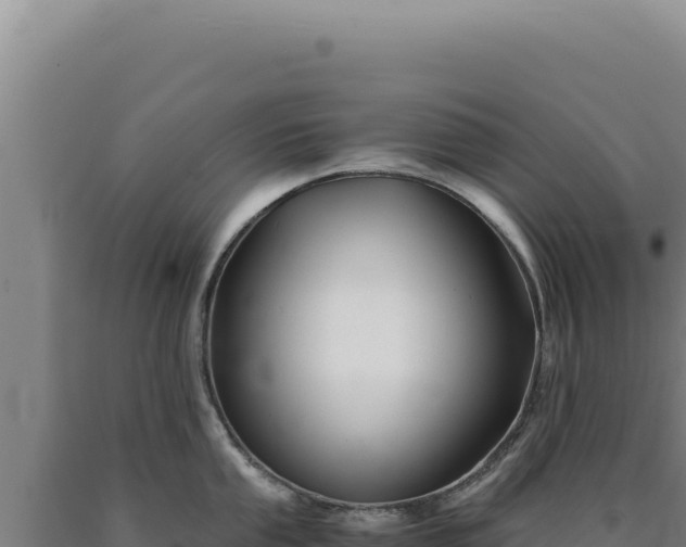 X0000090761053200707271502