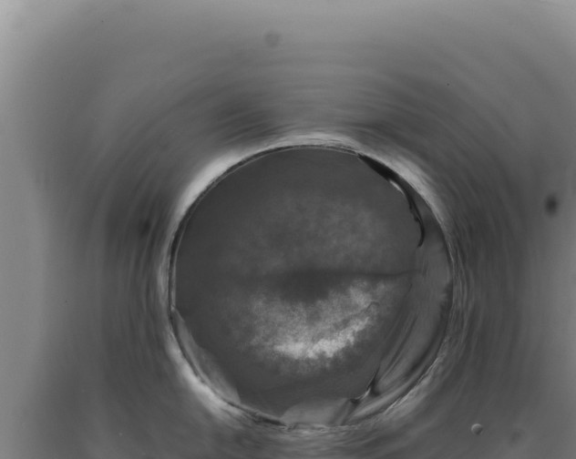 X0000090761054200707271502