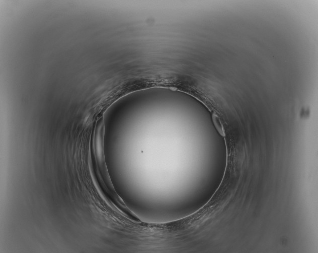 X0000090761058200707271501